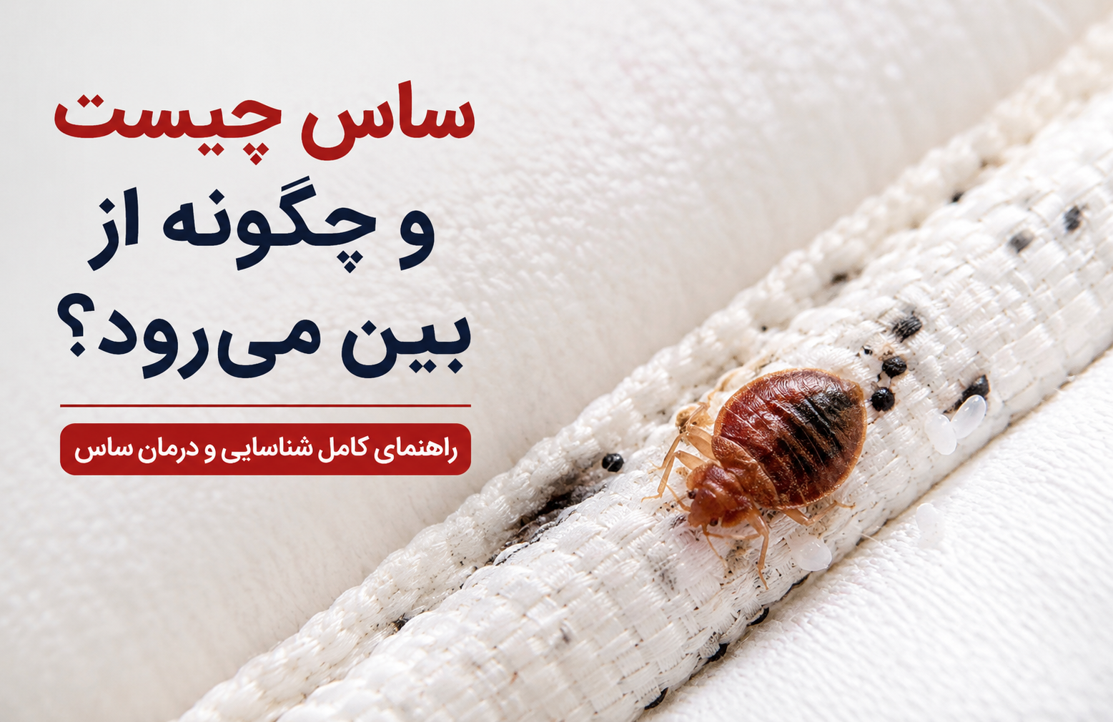 ساس تختخوابی روی درز تشک