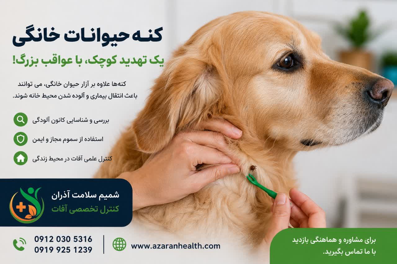کنه حیوانات خانگی؛ راهکارهای کنترل و سمپاشی