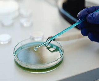 خدمات نمونه‌برداری
